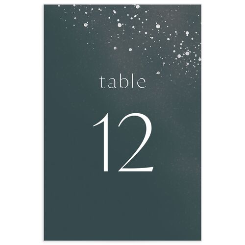 Shimmer Dust Table Numbers - 