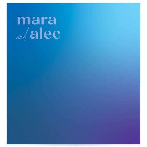 Bold Love Wedding Standard Envelope Liners Standard Sea Blue