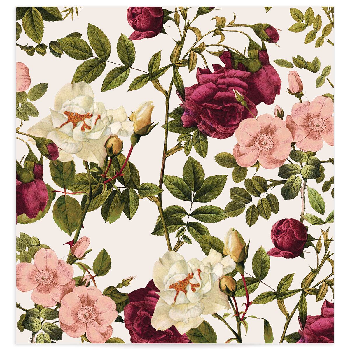 Gramercy Standard Envelope Liners Champagne Standard