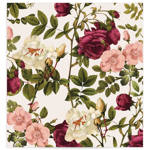 Gramercy Standard Envelope Liners Champagne Standard