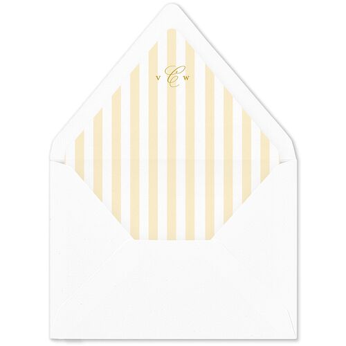 Elegant Eclectic Euro Envelope Liners Salmon Luxe