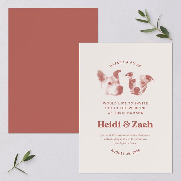 Custom Pet Portrait Wedding Invitations Desert Rose Signature Blank