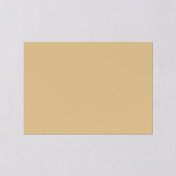 Regal Pampas Wedding Response Cards Gold Pure White Signature Standard