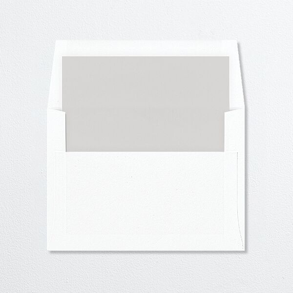 Romantic Calligraphy Standard Envelope Liners Silver Standard