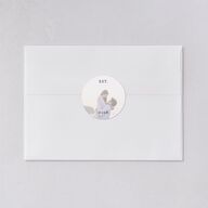 Picture Perfect Wedding Stickers Cornflower Circle