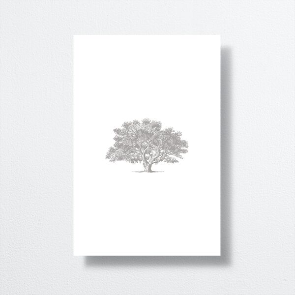 Southern Oak Tree Table Numbers Pure White Signature