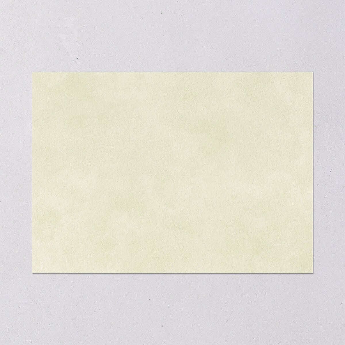 Elegant Italy Rehearsal Dinner Invitations Thyme Signature Blank