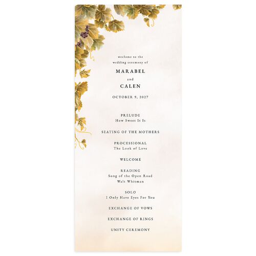 Romantic Vineyard Wedding Programs Driftwood Signature
