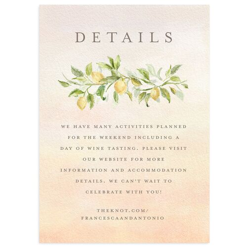 Elegant Italy Wedding Event Detail Cards Desert Rose Signature Standard