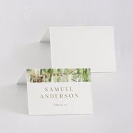 Southern Spanish Moss Place Cards Pure White Signature