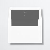 Watercolor Chicago Envelope Liners Licorice Standard