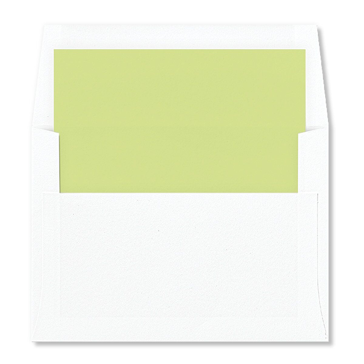 Picture This Photo Envelope Liners