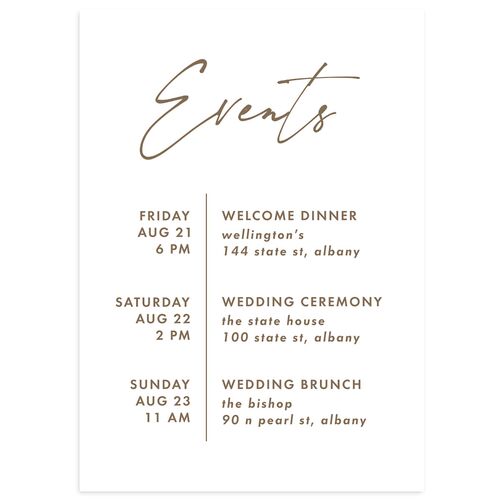 Picture This Photo Itinerary Cards Sepia Signature Standard
