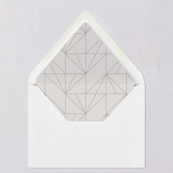 Elegant Frame Euro Envelope Liners Fog Luxe