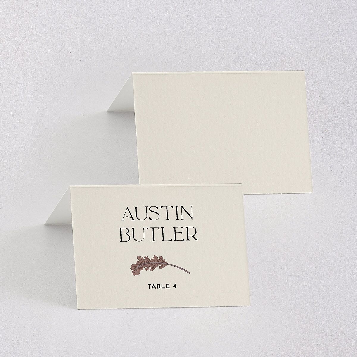 Climbing Leaves Place Cards Copper Signature