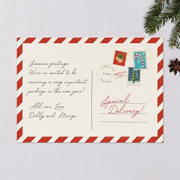 Special Delivery Announcement Christmas Post Holiday Cards True Red Signature Blank Standard