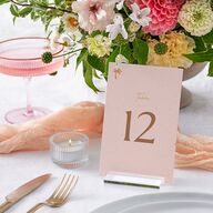 Beach Party Table Numbers Pink Cotton Signature