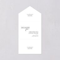 Nothing Fancy All-in-One Wedding Invitations Pure White Signature Light Both Recipient and Return Addresses No