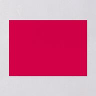 Santa Cruz Rehearsal Dinner Invitations Tangerine Signature Blank