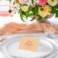 Cabana Stripes Place Cards Pastel Blue Signature