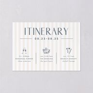 Destination Photo Poster Wedding Enclosure Cards Dusty Blue Signature Standard