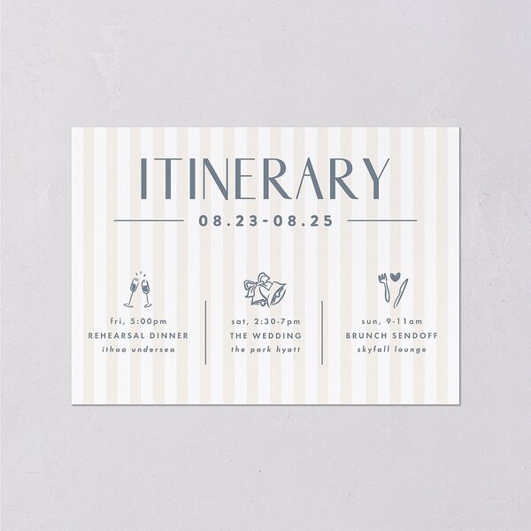 Destination Photo Poster Wedding Enclosure Cards Dusty Blue Signature Standard