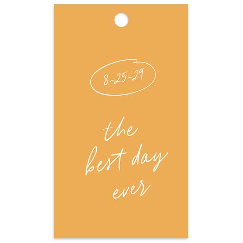 Sunny Day Modern Script Favor Gift Tags Pure White Signature