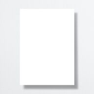 Shining Leaves Wedding Invitations Pure White Gold No Signature
