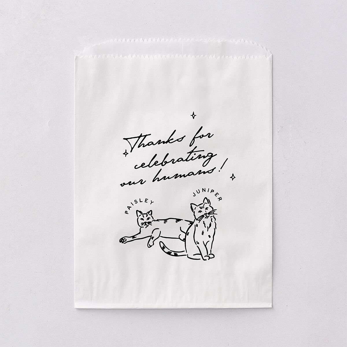 Hand Drawn Cake Favor Bags White Pure White Wax-Lined Food Safe Paper