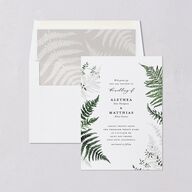 Woodsy Ferns Standard Envelope Liners Scottish Green Standard