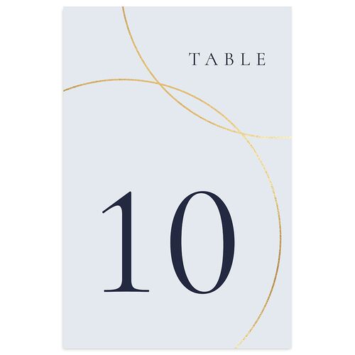Minimal Rings Table Numbers Gold Navy Signature
