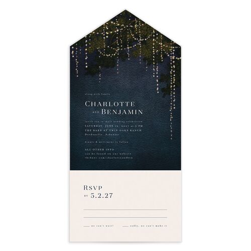 Enchanted Evening All-in-One Wedding Invitations - Blue