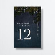 Enchanted Evening Table Numbers Dark Navy Signature