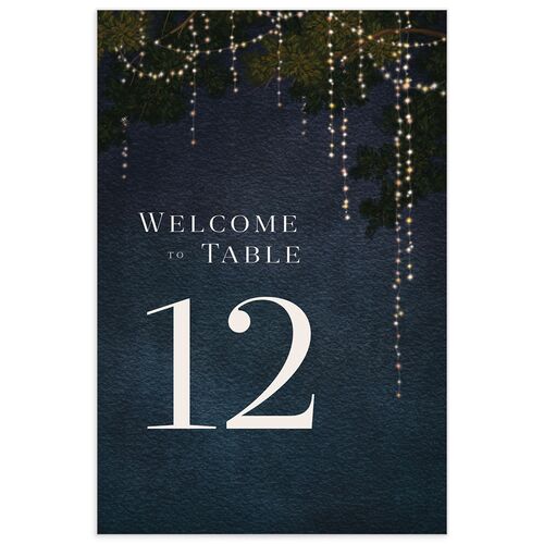Enchanted Evening Table Numbers