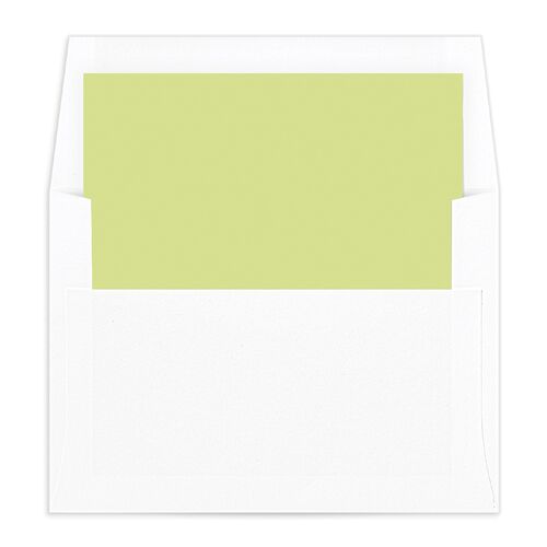 Picture This Envelope Liners - 