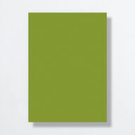 Picture This Rehearsal Dinner Invitations Greenery Signature Standard