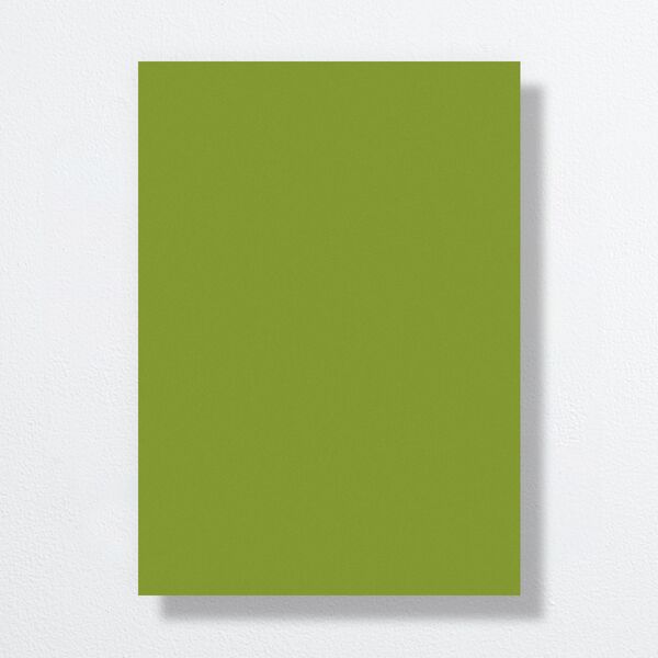Picture This Rehearsal Dinner Invitations Greenery Signature Standard