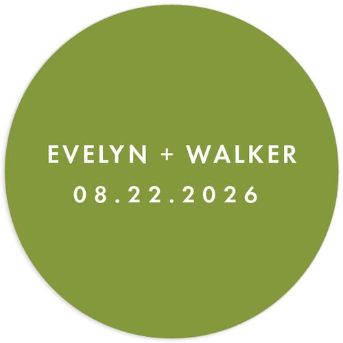 Picture This Wedding Stickers - 
