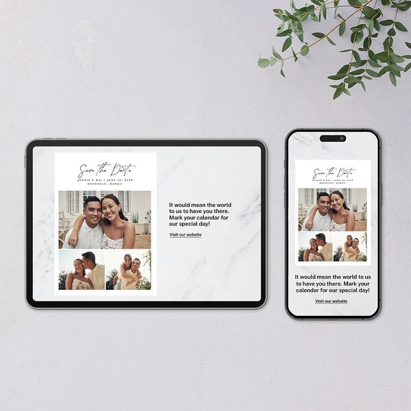 Simple Pampas Digital Save the Date Cards Pure White Dusty Blue Lets Celebrate Standard