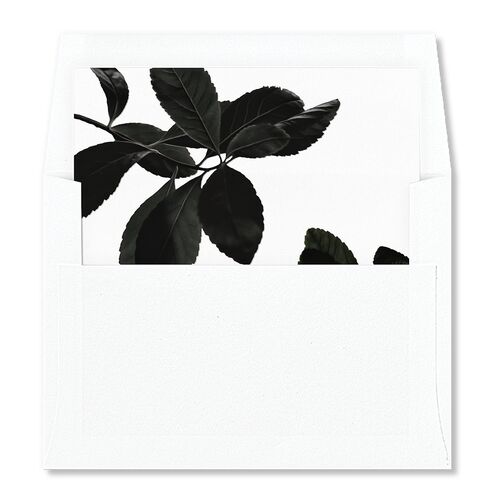Modern Rose Standard Envelope Liners Sapphire Standard