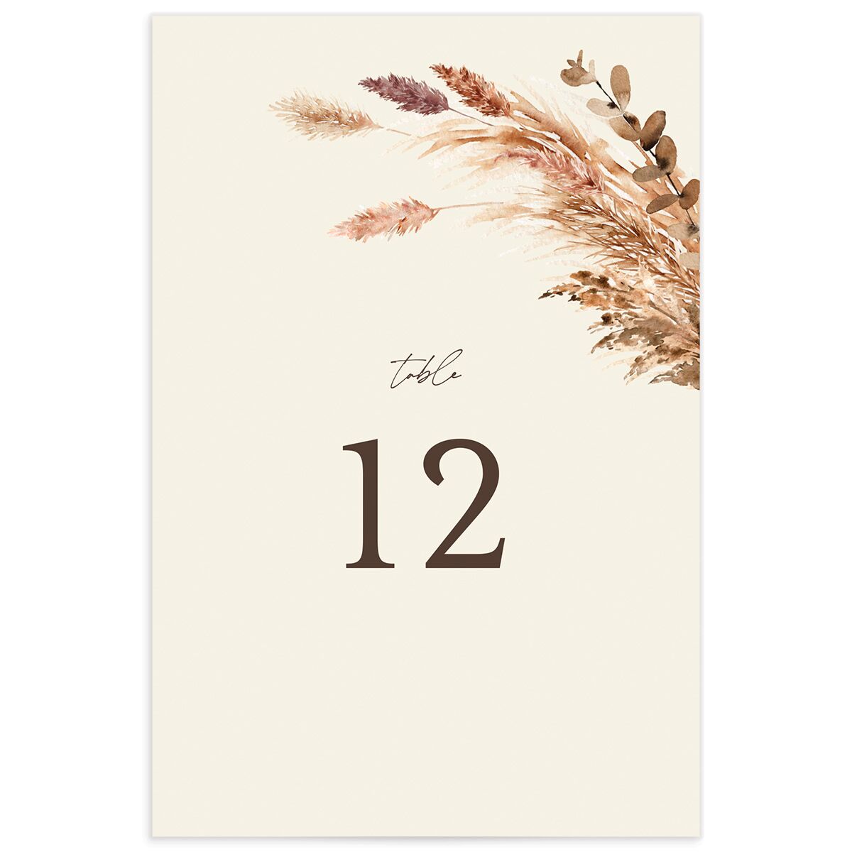 Soft Pampas Table Numbers