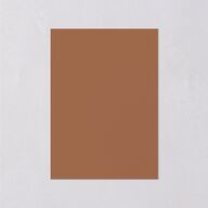 Bohemian Garden Wedding Enclosure Cards Cream Signature Standard