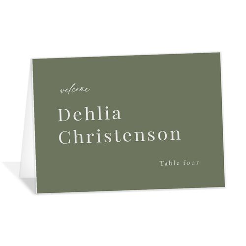 Snowy Mountainside Place Cards