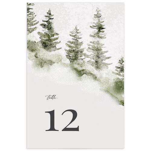 Snowy Mountainside Table Numbers - 