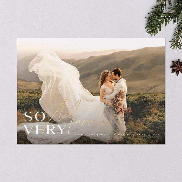 So Very Married Holiday Cards Gold Saddle Signature Blank Standard Landscape