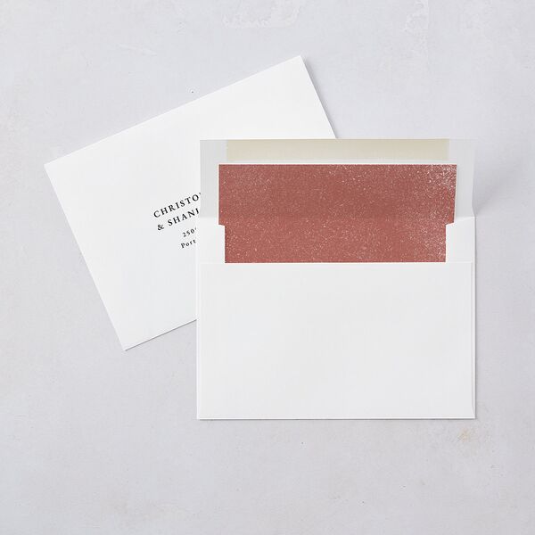Merry Everything Envelope Liners Desert Rose Standard
