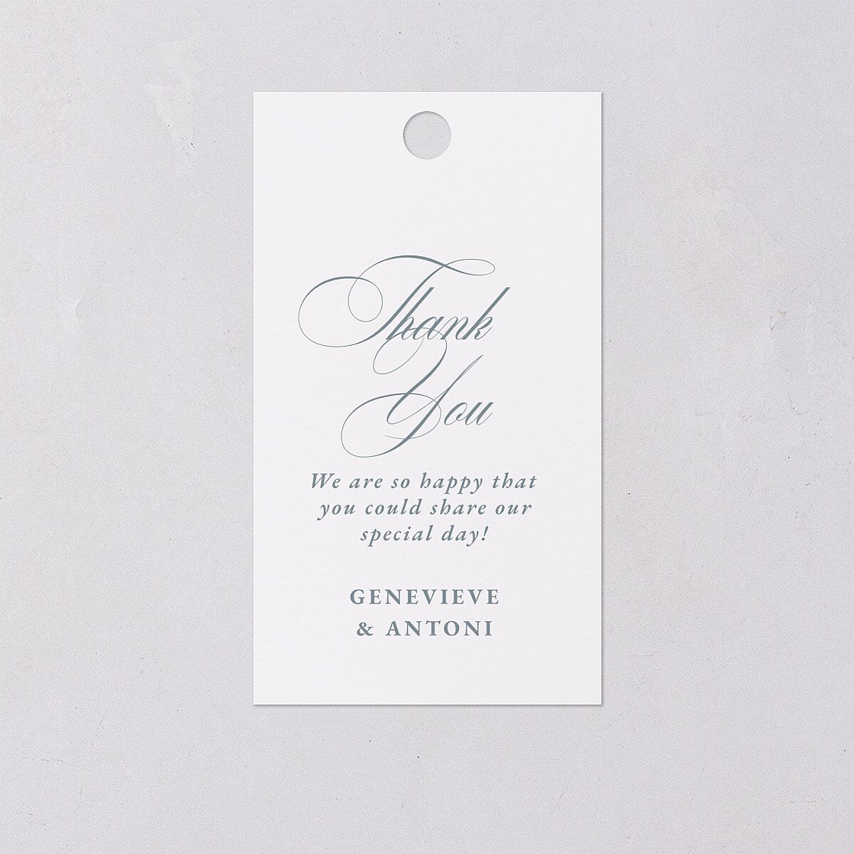 Elegant Photograph Favor Gift Tags Dusty Blue Signature