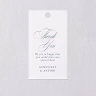 Elegant Photograph Favor Gift Tags Dusty Blue Signature