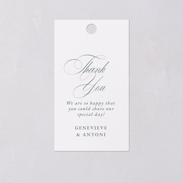 Elegant Photograph Favor Gift Tags Dusty Blue Signature