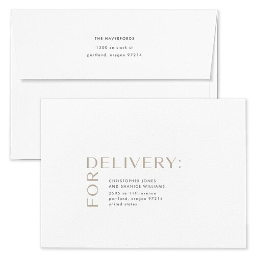 Bookend Greeting Holiday Card Envelopes Blue Bisque Both Recipient and Return Addresses Standard Signature